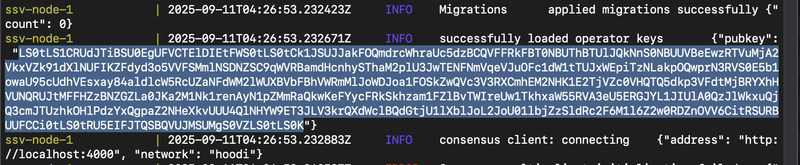 Public Key